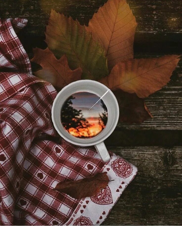 Картинка осень и кофе фото coffee Arranjos