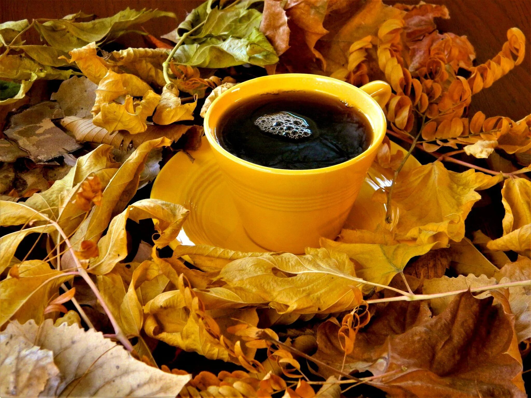 Картинка осень и кофе фото aleksandra ♌ ♌ on Twitter Landscape design, Crop insurance, Liquid beauty