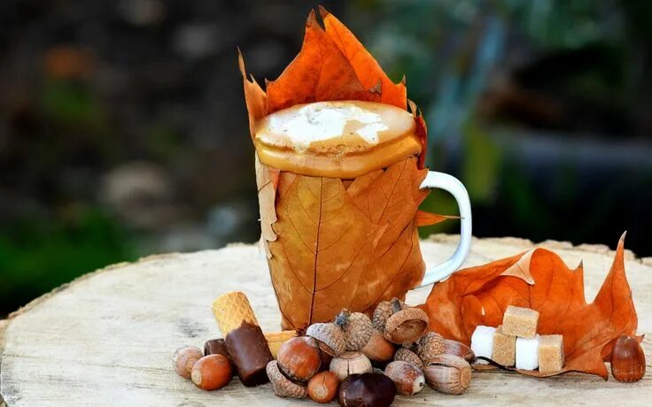 Картинка осень и кофе фото Ghim của ℚ8 ЅᎯᏦUℛᎯ trên Autumn / Fall