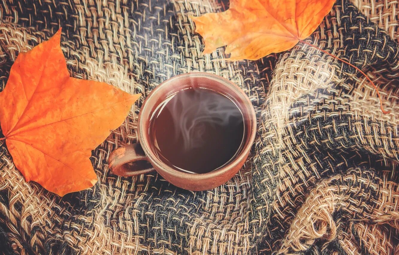 Картинка осень и кофе фото Обои leaves, autumn, листья, плед, wood, чашка кофе, coffee cup, осень на телефо