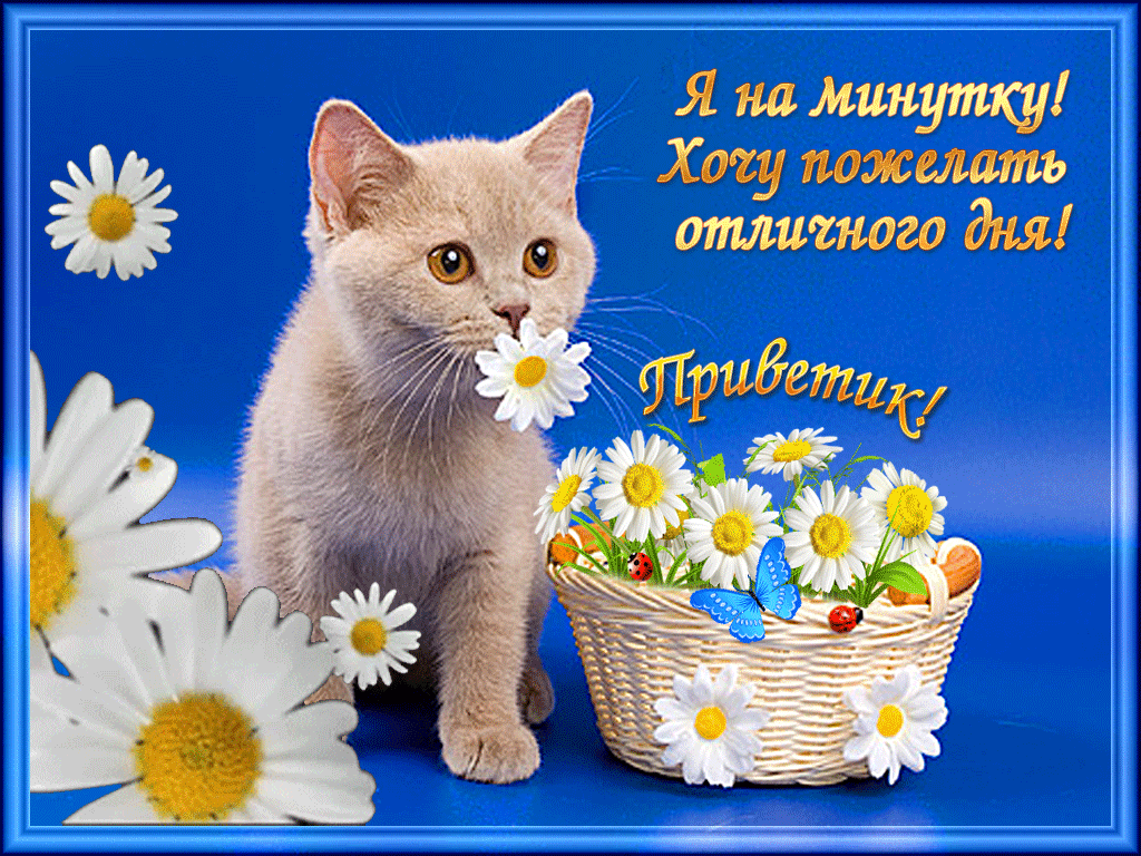 Картинка отличного дня хорошему человеку Хорошего дня и добра: найдено 89 картинок