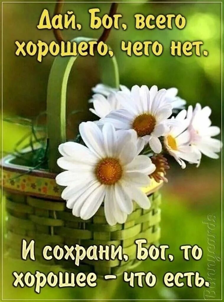 Картинка отличного дня хорошему человеку Аленький цветочек ВКонтакте Good morning, Beautiful rose flowers, Instagram
