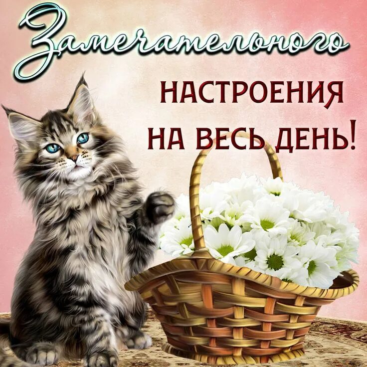 Картинка отличного дня хорошему человеку Открытки спокойной ночи Открытки, Ночь, Спокойной ночи