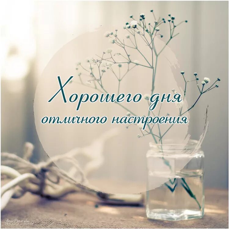 Картинка отличного дня хорошему человеку Доброе утро Хорошего Настроения на Весь День - смотреть видео онлайн от "ДОМОХОЗ