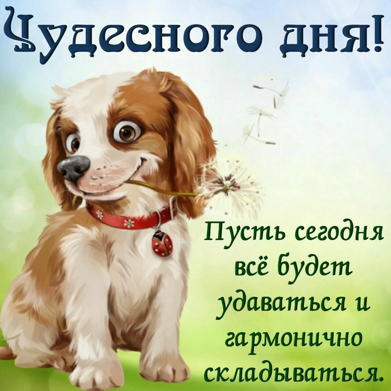 Картинка отличного дня хорошему человеку Пин от пользователя Kira Lanak на доске Доброе утро и день Забавный, Открытки, Д