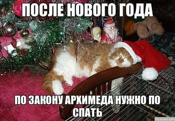 Картинка первый день нового года После нового года будет