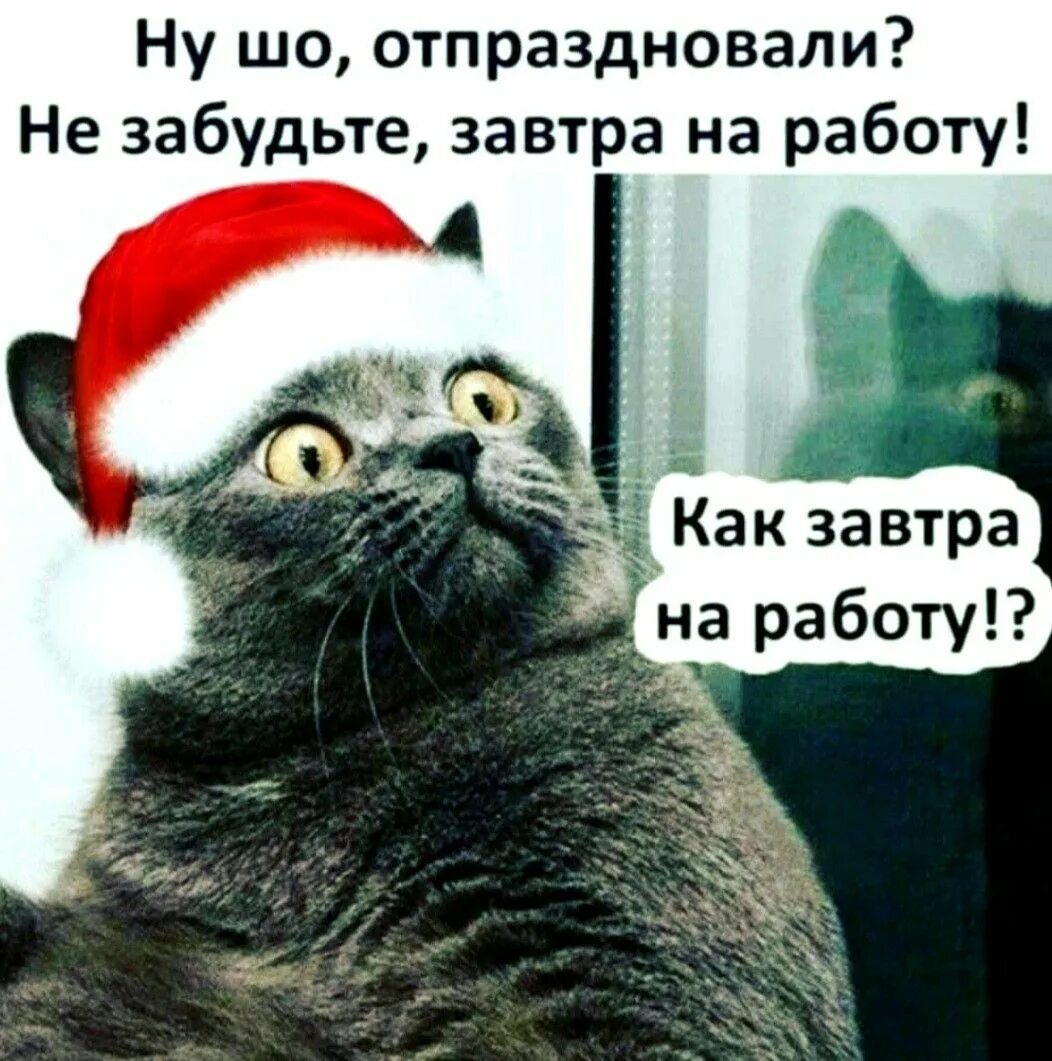 Картинка первый день нового года Пин от пользователя Tatjana B на доске Ha ha Работы, Смешно, Картинки