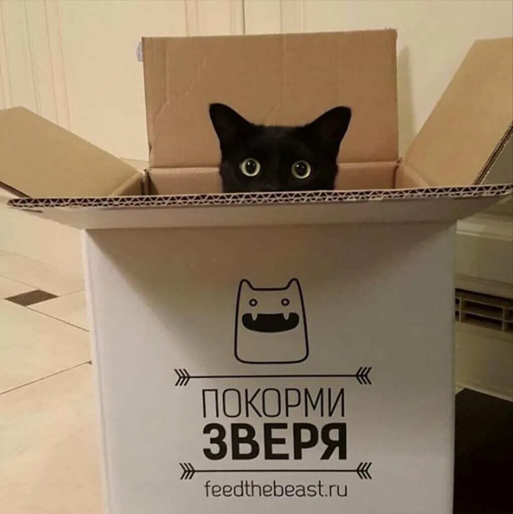 Картинка покорми животного Больше не работает: Покорми Зверя, зоомагазин, Москва, Краснопролетарская улица,