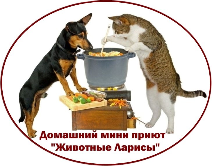 Картинка покорми животного Домашний мини-приют "Животные Ларисы" - Каталог товаров - Интернет-зоомагазин Му