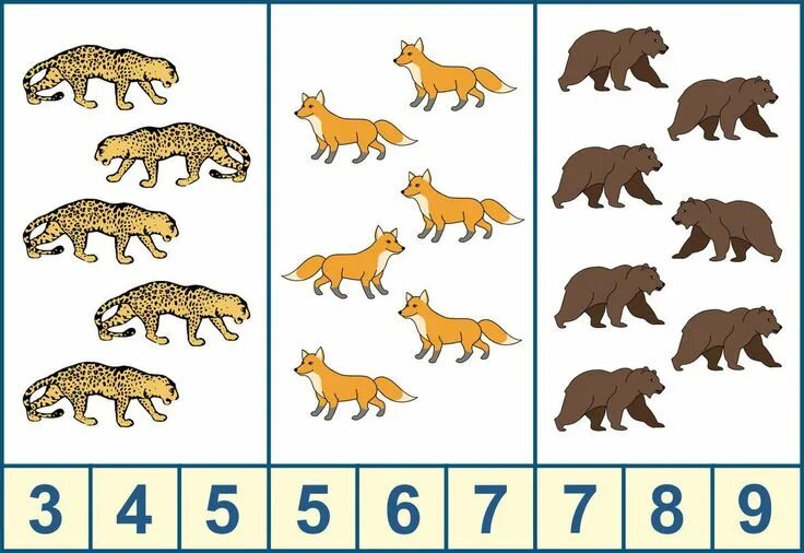 Картинка посчитай животных No name Body preschool, Kindergarden, Educational toys