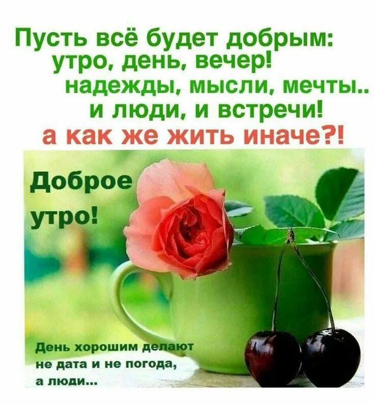 Картинка пожелание доброго дня с мыслями Пин от пользователя Lina на доске Добрый день -новое. Цитаты, Вдохновляющие цита