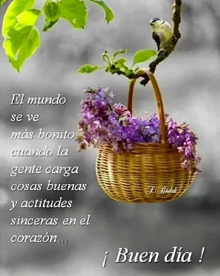 Картинка пожелание доброго дня с мыслями Pin by cossi lara on saluditos Good day messages, Good morning in spanish, Morni
