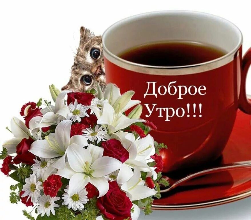 Картинка пожелание доброго утра и удачного Пин от пользователя Надежда Ломова на доске Доброе утро Доброе утро, Открытки, Ц