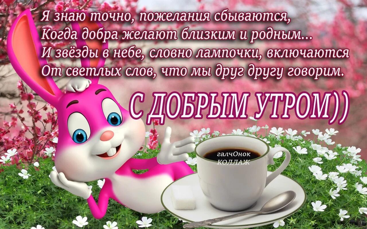 Картинка пожелание доброго утра и удачного Смысл жизни - это счастье, Цель жизни - долголетИе. Поэтому, чтоб долго жить, Не