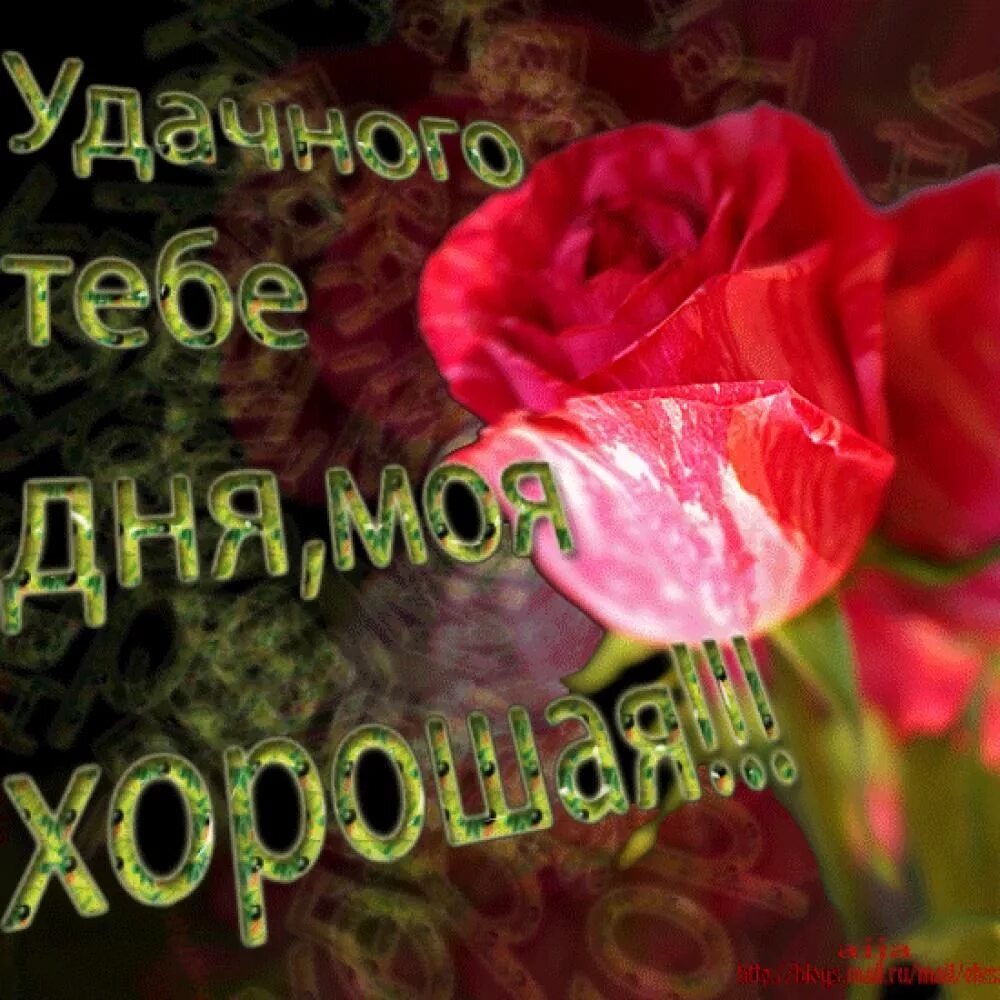 Картинка пожелание хорошего дня любимой Доброго вам дня любимая