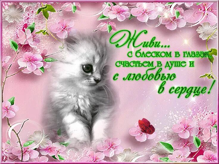 Картинка пожелание хорошего дня подруге Pin de Любовь Григорьевна en УТРО