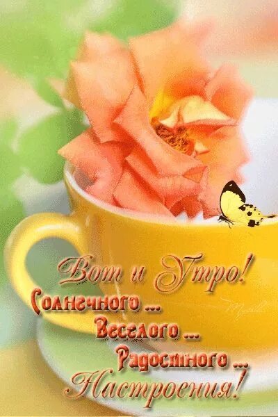 Картинка пожеланием доброго утра радость ♥ Счастливости ♥* Библейские цитаты, Доброе утро, Надписи