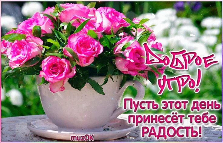 Картинка пожеланием доброго утра радость Доброе утро. Счастья. Радости. Удачи Доброе утро, Цветочные контейнеры, Утренние