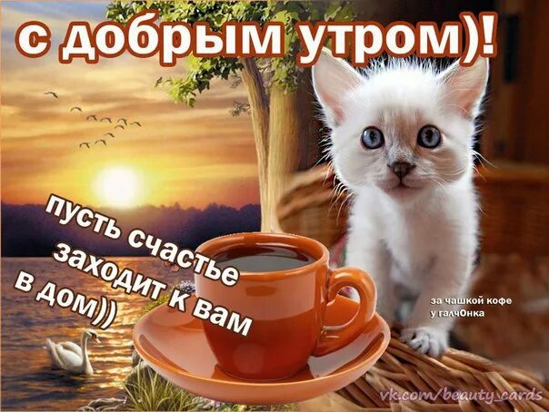 Картинка пожелания доброго утра друзьям прикольная Ответы Mail.ru: Да где ж у мне вопросы то были.