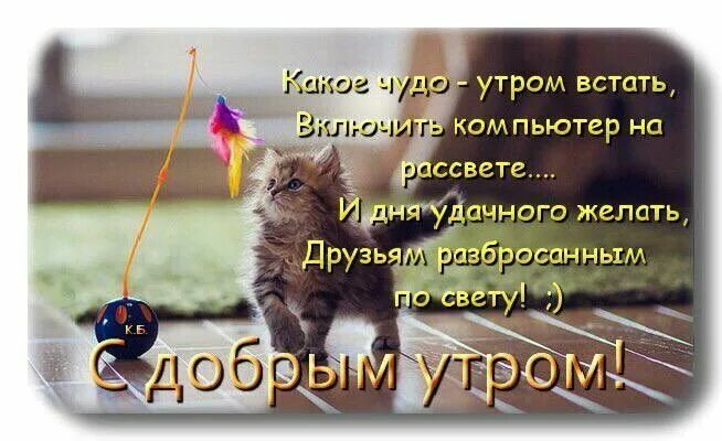 Картинка пожелания доброго утра друзьям прикольная Pin op доброе утро))