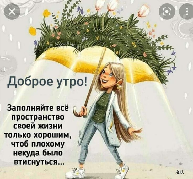 Картинка позитивная жене Pin on С добрым утром