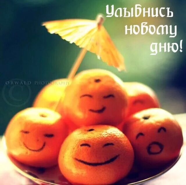 Картинка позитивного дня смешная Pin på хорошего дня!
