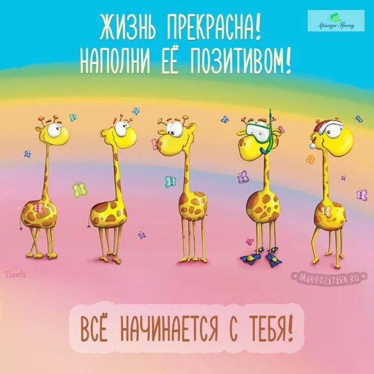 Картинка позитивного дня смешная Доброе утро! Хорошего позитивного Вам дня! Наталья Бельтюкова (Аркада-Гранд, htt