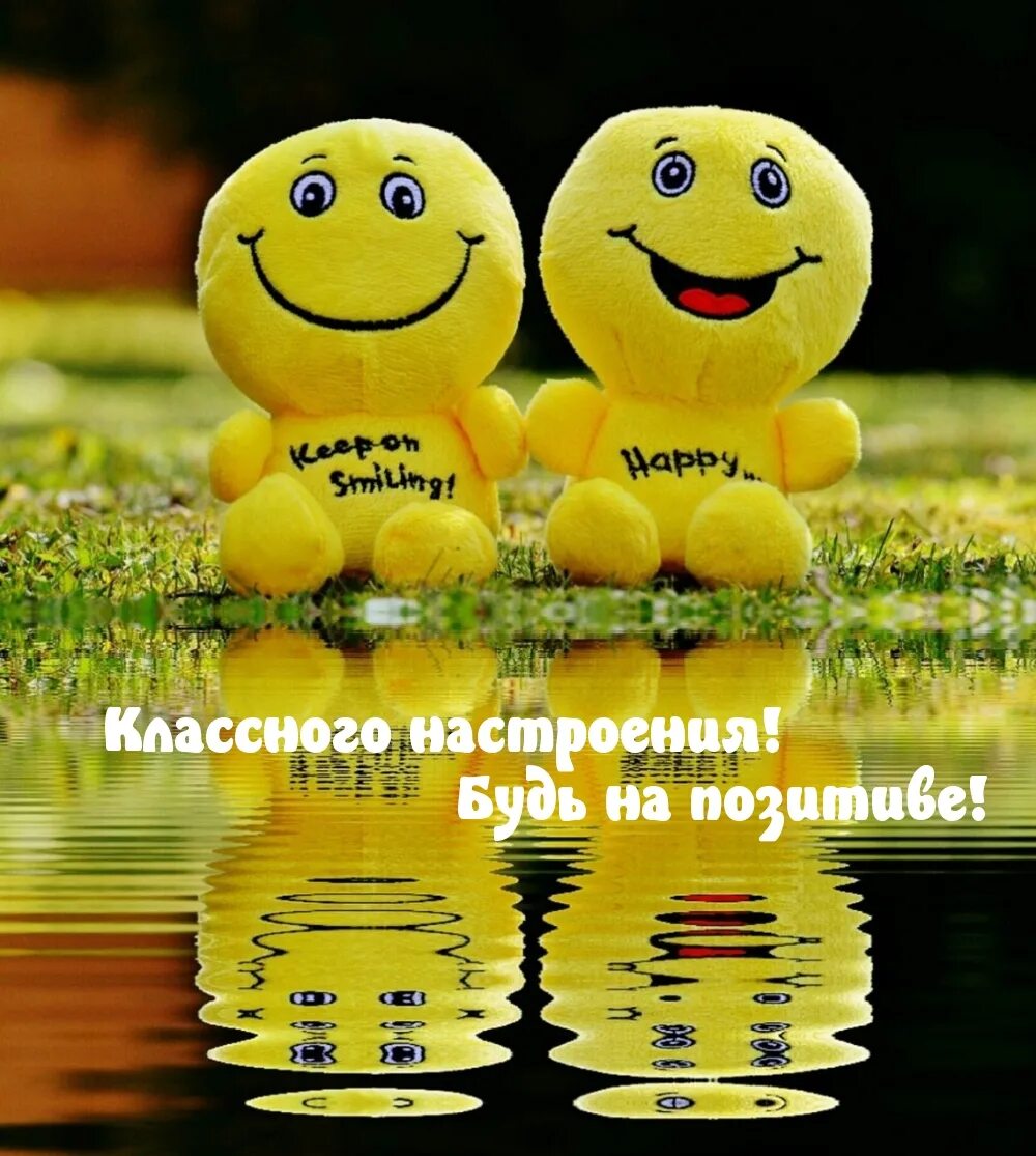 Картинка позитивного дня смешная Картинка - Классного настроения! Будь на позитиве!