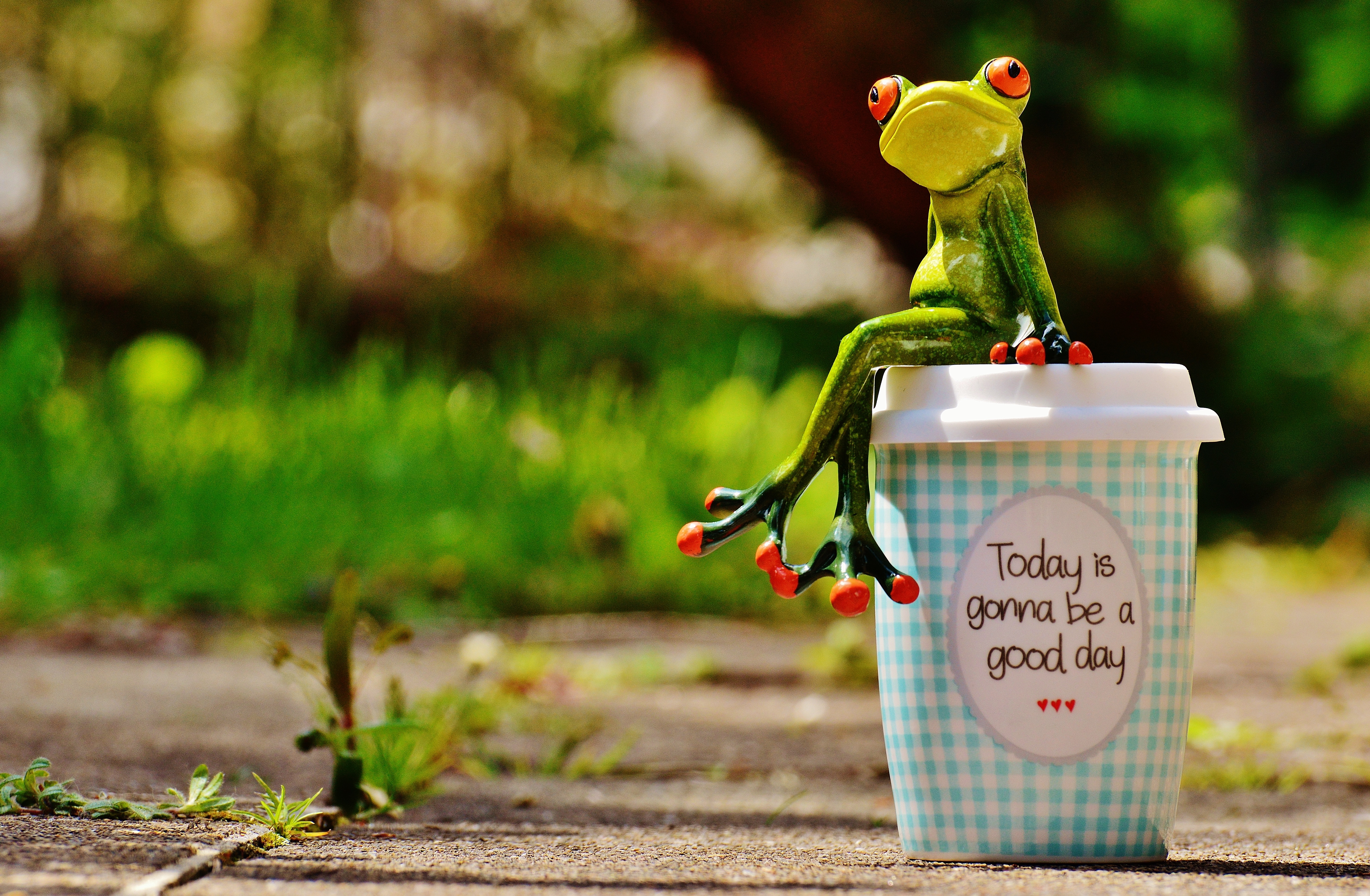 Картинка позитивного дня смешная Beautiful Day Joy Frog free image download