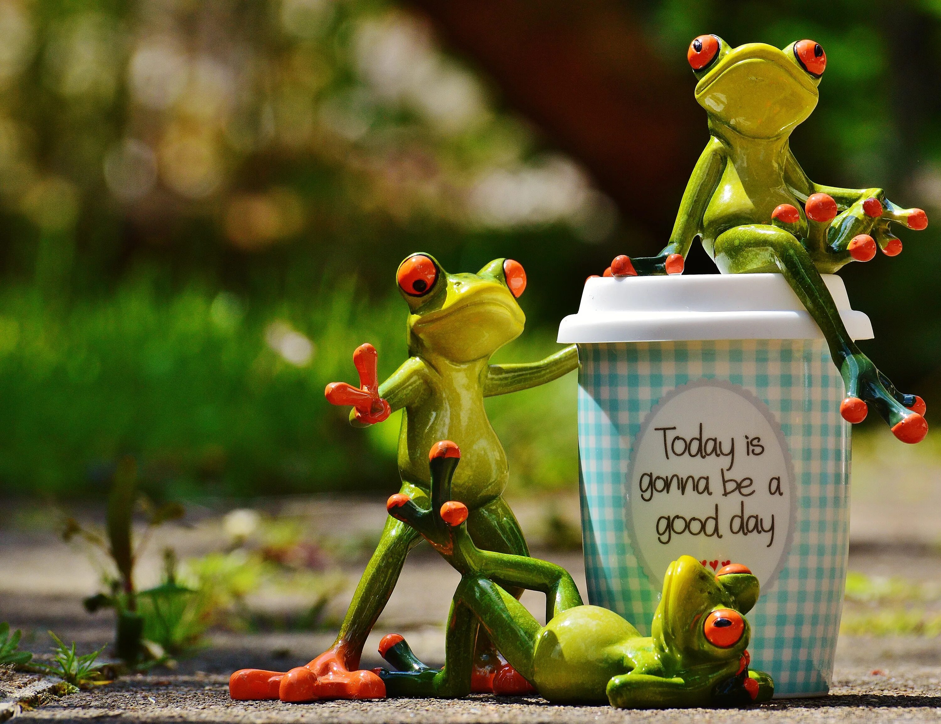 Картинка позитивного дня смешная Funny frogs and coffee cup free image download