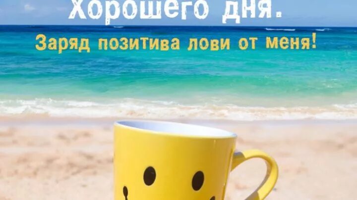 Картинка позитивного рабочего дня Выращивание декоративной капусты - высадка и уход, рекомендации