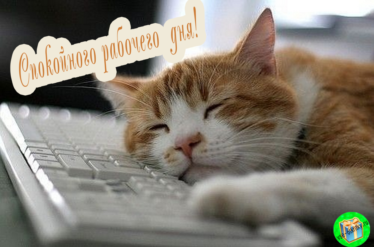 Картинка позитивного рабочего дня Пожелание рабочего дня коллегам