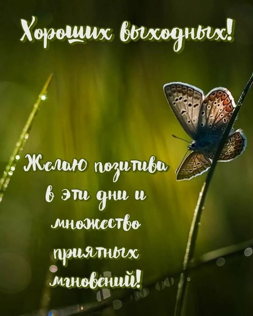 Картинка позитивного выходного дня Доброе утро, друзья! Хороших выходных! 2023 ЮПА КРЕДИТ ВКонтакте