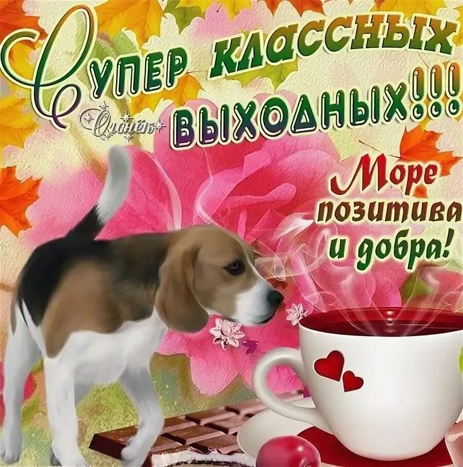 Картинка позитивного выходного дня Отличных выходных картинки