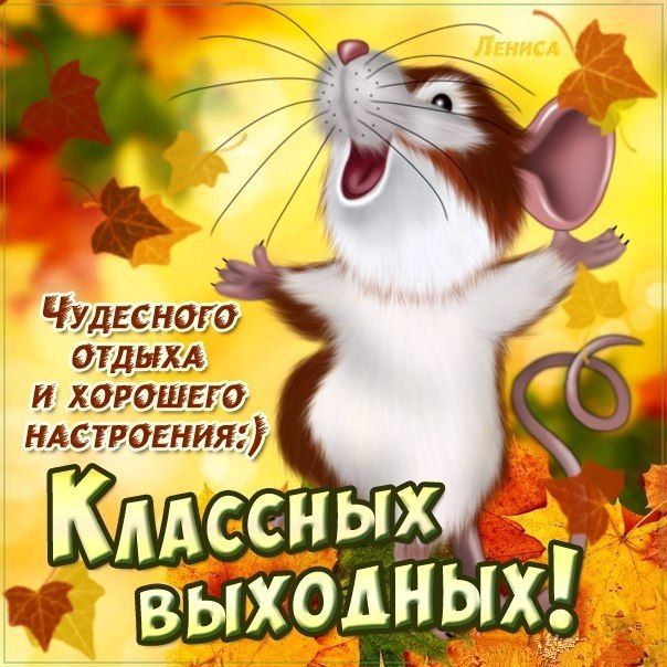 Картинка позитивного выходного дня Музыкальные открытки Выходные Прикольные картинки анимации Выходной Доброе утро,