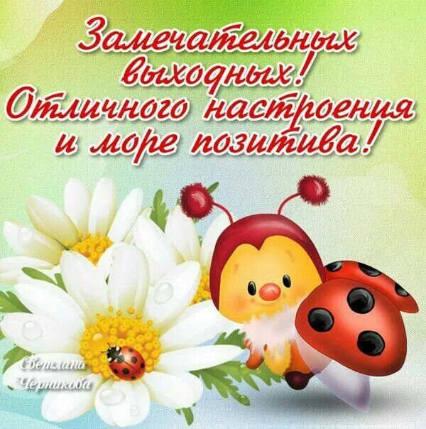 Картинка позитивного выходного дня Пин от пользователя Эля Швецова на доске Картинки Открытки, Вязание крючком для 