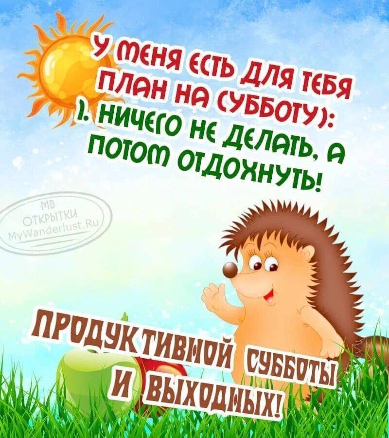 Картинка позитивного выходного дня Жёны не одобрят .... 2023 Горловка Сердце ДНР ВКонтакте