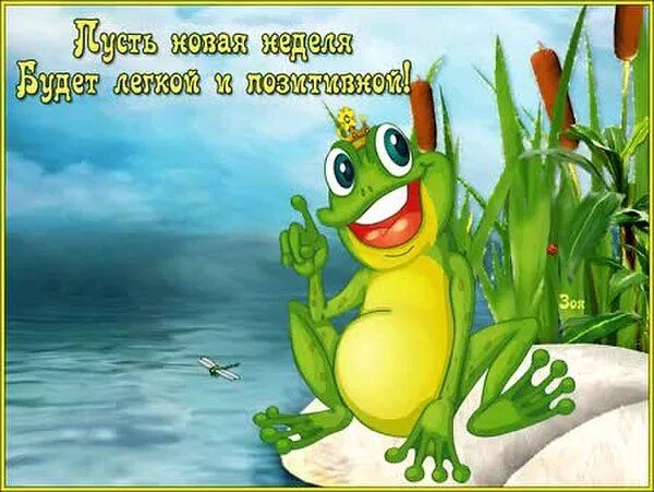 Картинка позитивной недели GIF Preview Animals and pets, Mario characters, Fictional characters