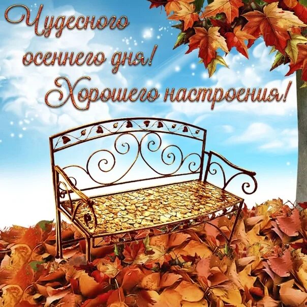Картинка прекрасная осень хорошего дня Happy Good Morning! Wonderful Day ! 2022 Красивые открытки 2022 VK