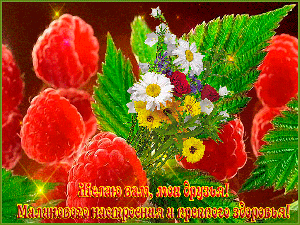 Картинка прекрасный день хорошего здоровья Не жизнь, а малина...Малиновое лето.