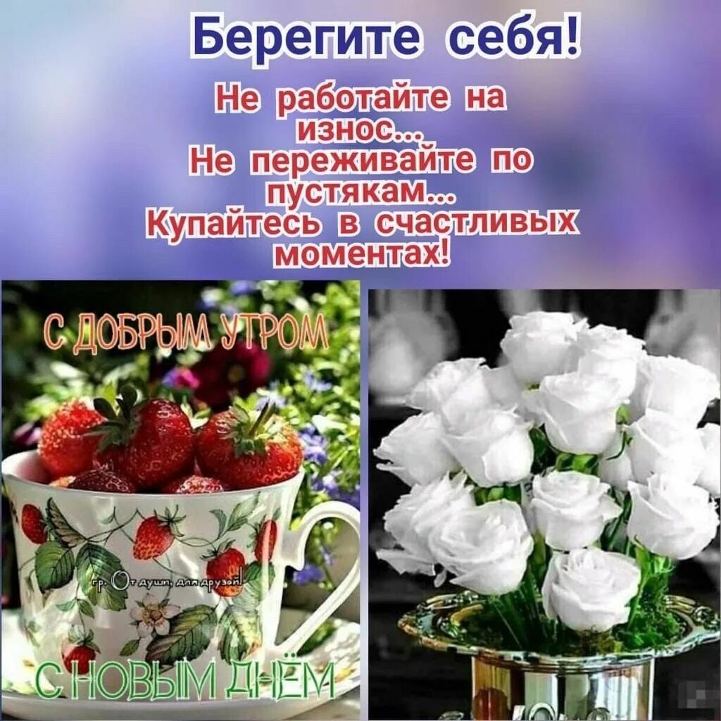 Картинка прекрасный день хорошего здоровья Пин от пользователя Olqa на доске Быстрое сохранение Открытки, Надпись на доске,