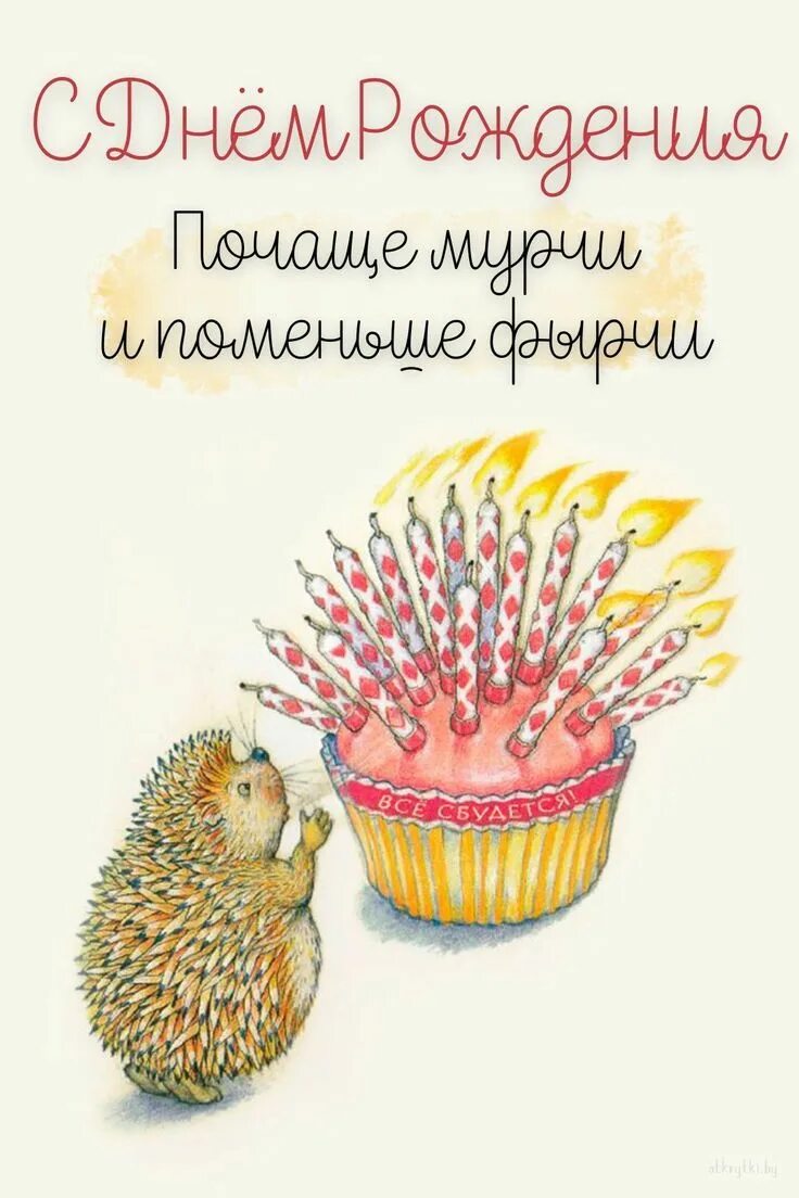 Картинка прикольный ежик с днем рождения Прикольные картинки с днем рождения с юмором, веселыми и смешными пожеланиями От