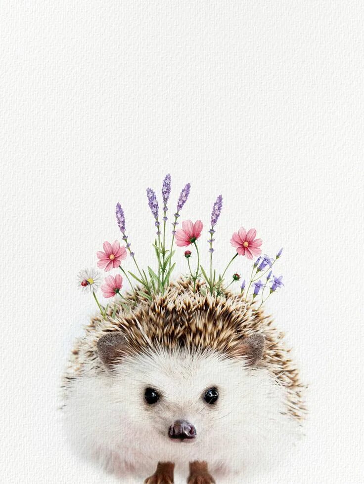 Картинка прикольный ежик с днем рождения Small & Mini Art Prints Society6 Animal drawings, Animal paintings, Animal art