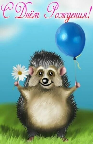 Картинка прикольный ежик с днем рождения Pin von Laurie S. auf Cuteness