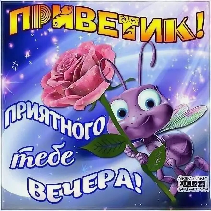 Картинка привет добрый вечер Пин на доске Весна Забавные иллюстрации, Картинки, Смешные открытки
