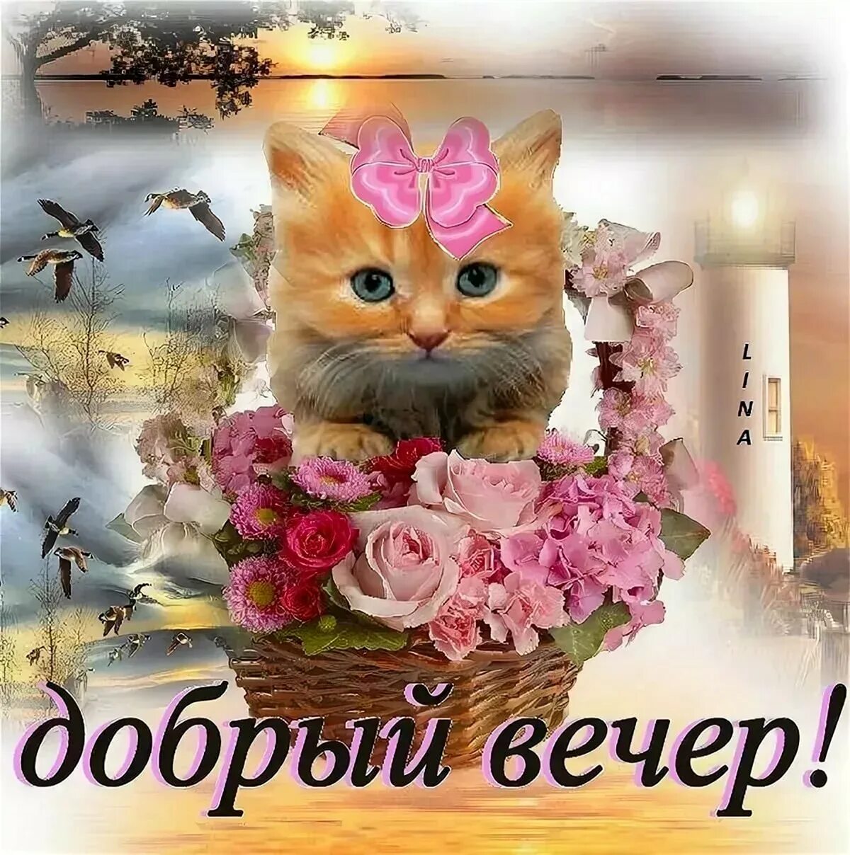 Картинка привет добрый вечер Добрый вечер прикольные новые: найдено 85 изображений