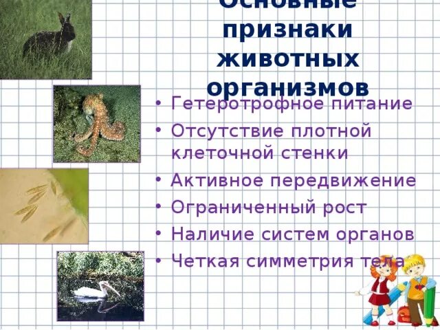 Картинка признаки животных Отличительные особенности животных - Вопросы и ответы