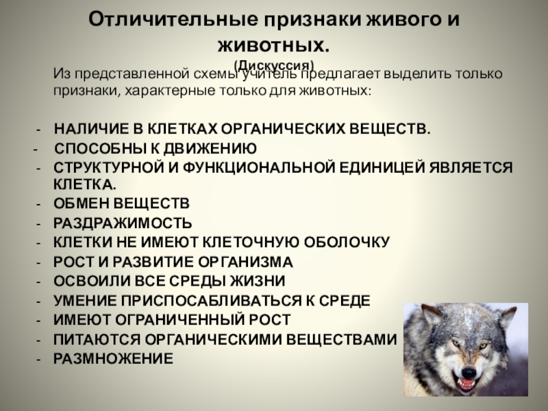 Картинка признаки животных 3 признака характерные для царства животных: найдено 90 картинок