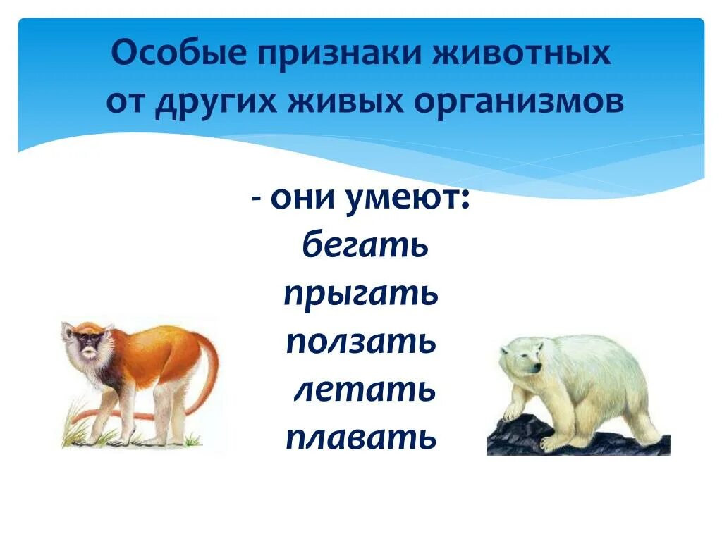 Картинка признаки животных PPT - Тема проекта: "РАЗНООБРАЗИЕ ЖИВОТНОГО МИРА" Подготовила Учитель начальных 