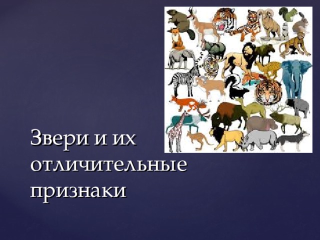 Картинка признаки животных Презентация "Звери"